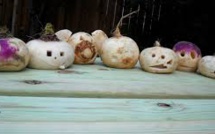 Halloween: English Heritage veut remplacer les citrouilles par des navets