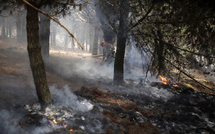 Incendies de forêt "sous contrôle" dans le sud de l'Equateur