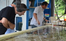 Un centre de technologies sous-marines à Tahiti : le projet HUS se présente