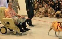 Thaïlande: emprisonné pour avoir insulté le chien du roi