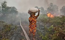 Indonésie: les incendies de forêts vont coûter 1,9% du PIB (Banque mondiale)