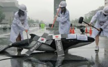 Reprise de la chasse à la baleine par le Japon: l'Australie "déçue"