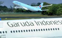 Indonésie: le décollage d'un avion retardé par une abeille