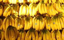 Inde: le voleur contraint de manger 40 bananes pour restituer son butin