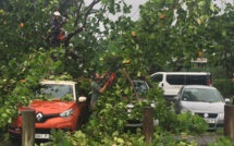 Chutes de pierre, arbres couchés sur la chaussée, les pluies provoquent des dégâts