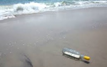Une bouteille à la mer d'un peintre newyorkais retrouvée par ...une peintre charentaise