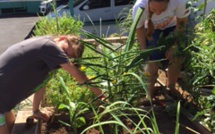 Un jardin partagé en plein cœur du centre-ville pour les familles nécessiteuses