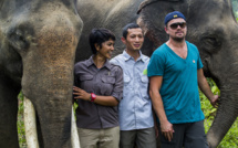 DiCaprio dans la jungle indonésienne pour soutenir des défenseurs de la nature