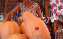 La septième édition de la foire agricole de Taiohae a ouvert ses portes hier