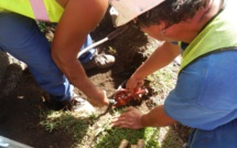 Perturbations pour l'eau potable à Mahina pendant trois semaines