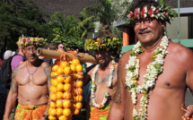 Punaauia : la cueillette des oranges a commencé