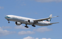 Hong Kong: les ailerons de requins ne voleront plus sur Cathay Pacific