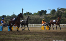 Hippodrome :  La première course équestre de l'année 2016 aura finalement lieu le dimanche 3 juillet (Màj)