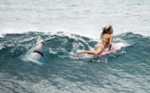 L'Australie, haut lieu du surf, a peur des dents de la mer