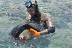 les pêcheurs de l'as marara auront été d'une grande aide pour le nettoyage des fonds marins